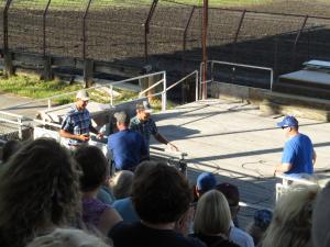 IMG 7383