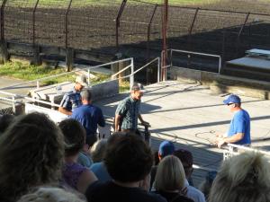 IMG 7385