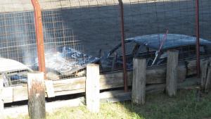 IMG 7954