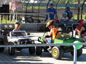 IMG 8219